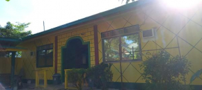 Rodel Yellow Hauz
